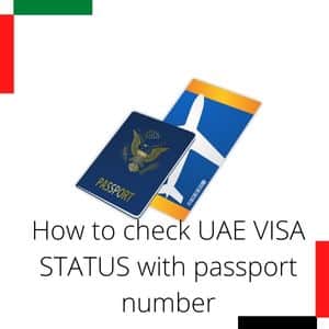 How to check UAE VISA STATUS with passport number