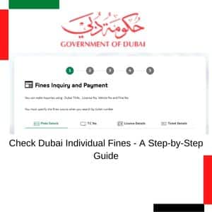 Check Dubai Individual Fines